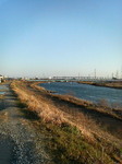 200702281657000.jpg