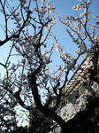 200703011508000.jpg