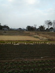 200703031554000.jpg