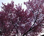 200903101722000.jpg