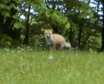 200905281729001.jpg