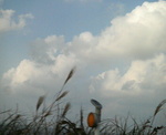 200910271555000.jpg