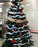200912131004000.jpg
